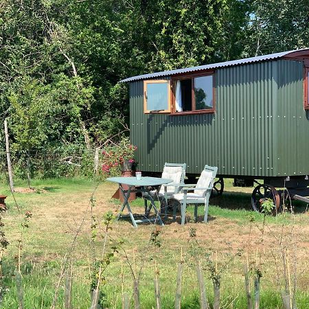 엠스워스 Sindles Farm B&B 외부 사진